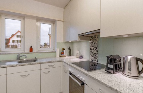 Horgen District Apartment | Cocoa Suite - 2 BR - free parking