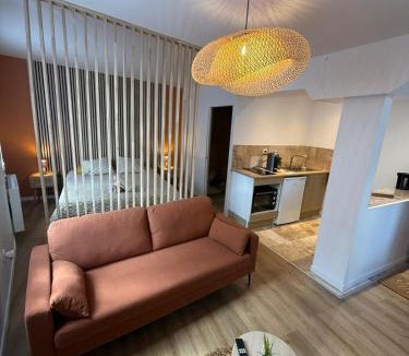 Joigny Apartment | Cocon Écorce & Mandarine