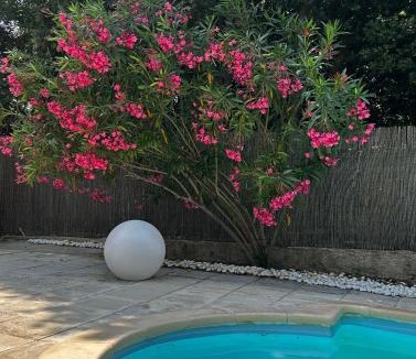 Puget Apartment | Cocon cosy appart romantique, jacuzzi piscine