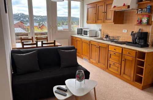 Saint-Laurent-en-Grandvaux Apartment | Cocon jurassien 4 pers Piscine Nature & Ski