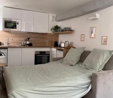 Quartier Centre Ville Apartment | Cocon Nature - T2 Massy