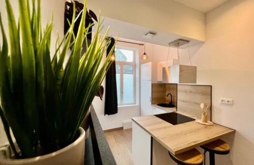 Saint-Omer Apartment | Cocon Saint-Arnould