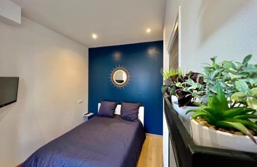 Saint-Omer Apartment | Cocon Saint-Arnould