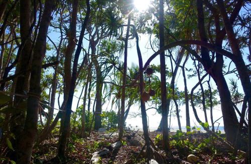 Cape Tribulation House | Coconut Beach House