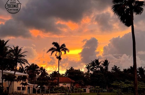 Costambar House | Coconut cottage