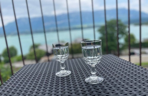 Le Bourget-du-Lac Apartment | COCOONING LAKE & MOUNTAINS