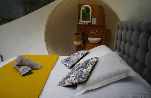 Cahuzac-sur-Vere House | Coeur de bull'