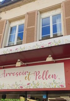 Cosne-Cours-sur-Loire Apartment | Coeur de ville