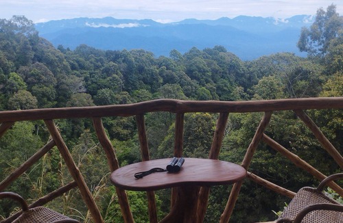 Langkat Cabin | Coffee Farmstay and Roastery in Sumatra, offgrid, authentic, natural