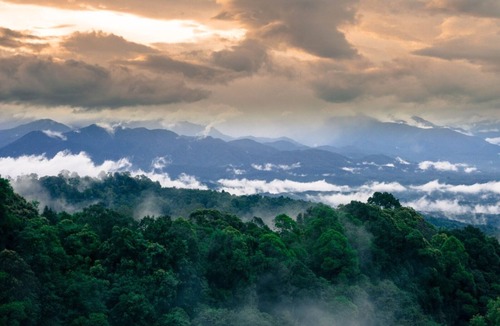 Langkat Cabin | Coffee Farmstay and Roastery in Sumatra, offgrid, authentic, natural