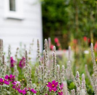 Whitianga House | Coghill Cottage