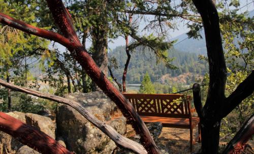 Willow Creek Hotel | Coho Cottages