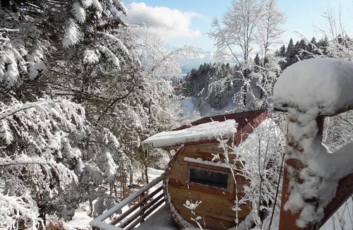 Mijoux Cabin | Col de la Faucille Tonneau