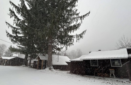 Oliverea Cabin | Cold Spring Lodge - Cabin 2