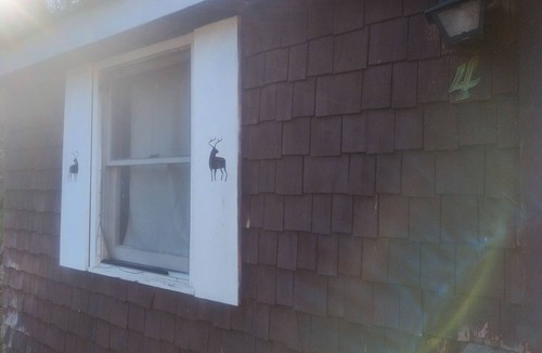 Oliverea Cabin | Cold Spring Lodge - Cabin 4