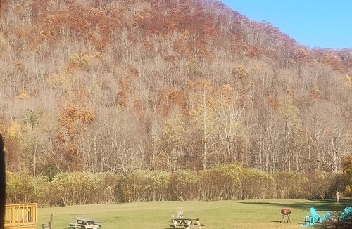 Oliverea Cabin | Cold Spring Lodge - Cabin 6