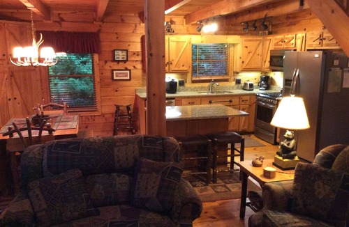 Ellijay Cabin | Coldwater~ Rustic, Charming, Secluded, on Premier Trout Stream