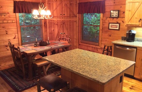 Ellijay Cabin | Coldwater~ Rustic, Charming, Secluded, on Premier Trout Stream