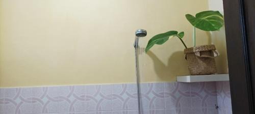 Delod Peken House | Coliving Bali SWEET HOME Tabanan,Daily & Monthly Stay,Kost Bulanan