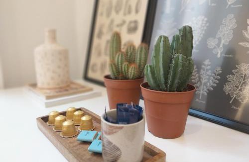 Terreaux - Bat d'argent Apartment | Collection Terreaux - No 1 Studio plein centre