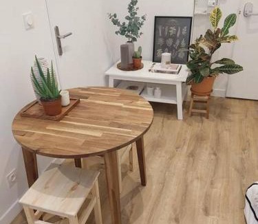 Terreaux - Bat d'argent Apartment | Collection Terreaux - No 2 Studio plein centre