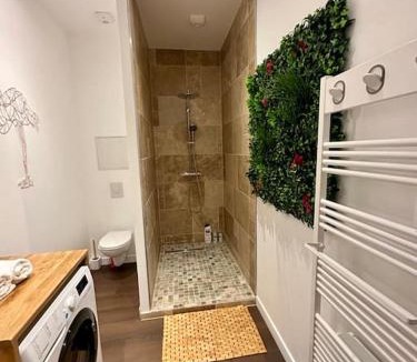 Quartier Beauregard-Boufflers-Buthegnemont-Boudonville Apartment | Colline, La suite jacuzzi cinéma privé