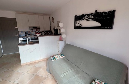 Collioure Apartment | Collioure apartment with large sunny terrace - Air conditioning - Private parking