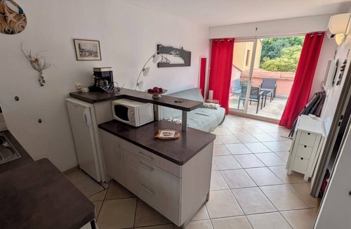 Collioure Apartment | Collioure apartment with large sunny terrace - Air conditioning - Private parking
