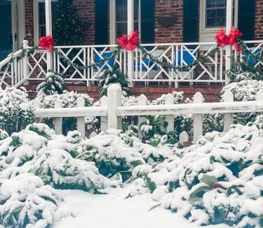 Williamsburg Bed & Breakfast | Colonial Gardens B & B