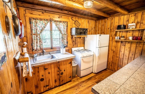Evergreen Cabin | Colorado Bear Creek Cabin 2