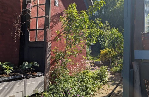 Hesselager House | Colorful home on a natural plot with its own small forest