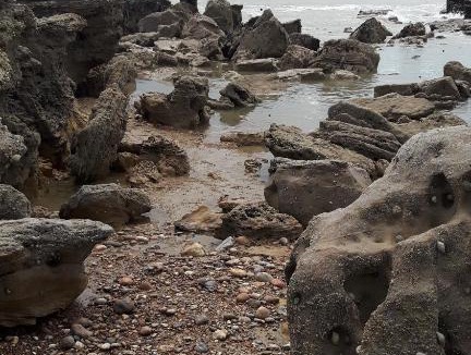 St Leonards-On-Sea House | Combe haven harley mead