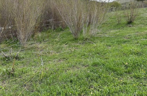 Bone RV Rental | Come camping on a 100 year old cattle ranch