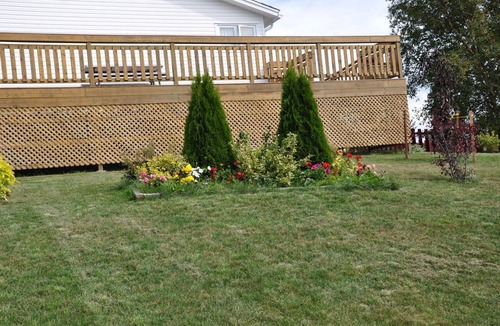 Holyrood Condo | Comerford's Ocean View Efficiency Units