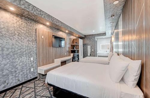 South Houston Hotel | Comfeeni Inn and Suites