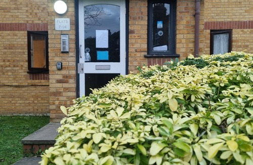 Dudden Hill Apartment | Comfort at Enchanted Dwellings