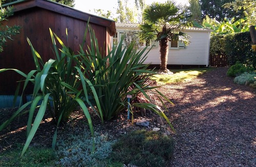Saint-Cyr-en-Talmondais House | Comfortable mobile home in a peaceful and exotic private estate 15mn from the sea,