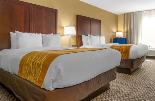Auburn Hotel | Comfort Inn Auburn - Seattle
