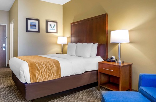 Auburn Hotel | Comfort Inn Auburn - Seattle