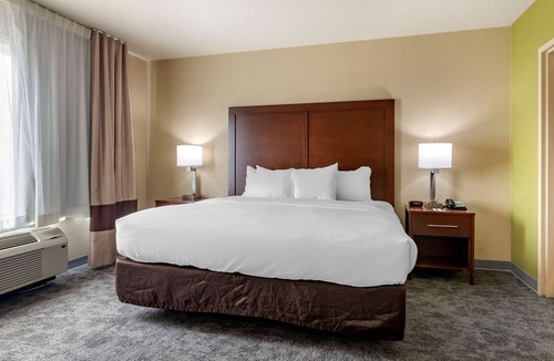 Bentonville Hotel | Comfort Inn Bentonville - Crystal Bridges