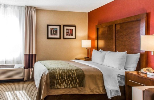 Neponset - Port Norfolk Hotel | Comfort Inn Boston