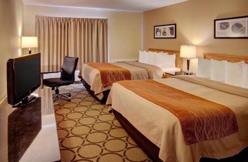 Corner Brook Hotel | Comfort Inn
