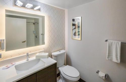 Halifax Hotel | Comfort Inn