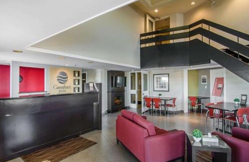 Swift Current Hotel | Comfort Inn