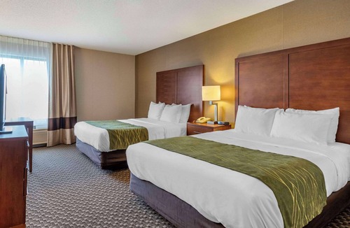 Charlotte Hotel | Comfort Inn Charlotte