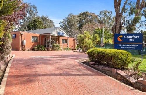 Seymour Hotel | Comfort Inn Coach & Bushmans