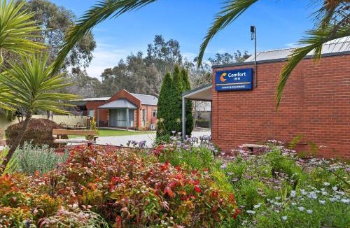 Seymour Hotel | Comfort Inn Coach & Bushmans