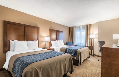 Concord Hotel | Comfort Inn Concord South End