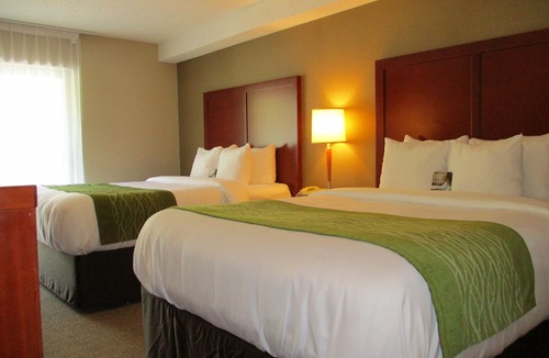 Dartmouth Hotel | Comfort Inn Dartmouth