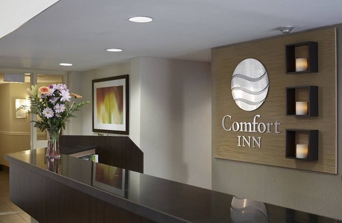 Dryden Hotel | Comfort Inn Dryden